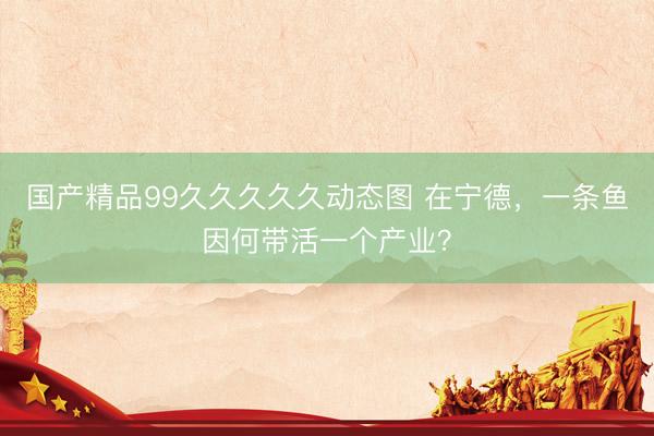 国产精品99久久久久久动态图 在宁德,一条鱼因何带活一个产业?