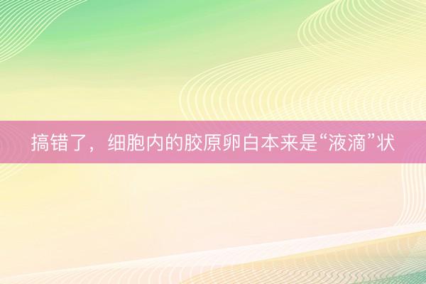搞错了，细胞内的胶原卵白本来是“液滴”状