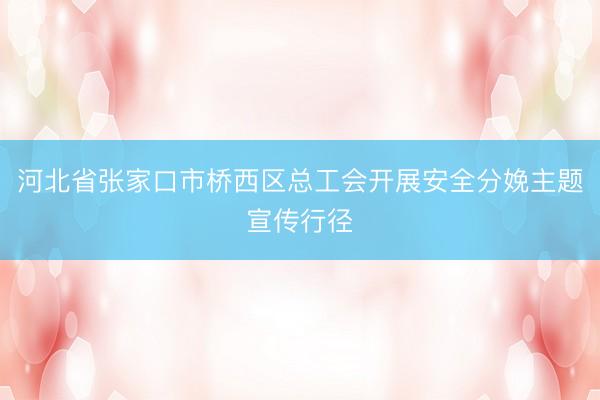 河北省张家口市桥西区总工会开展安全分娩主题宣传行径